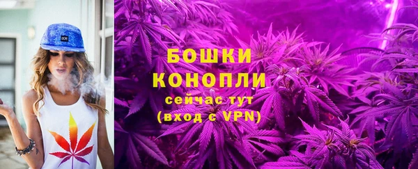 spice Касимов