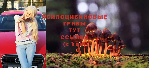 прущий лед Карталы