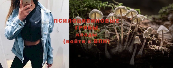 прущий лед Карталы